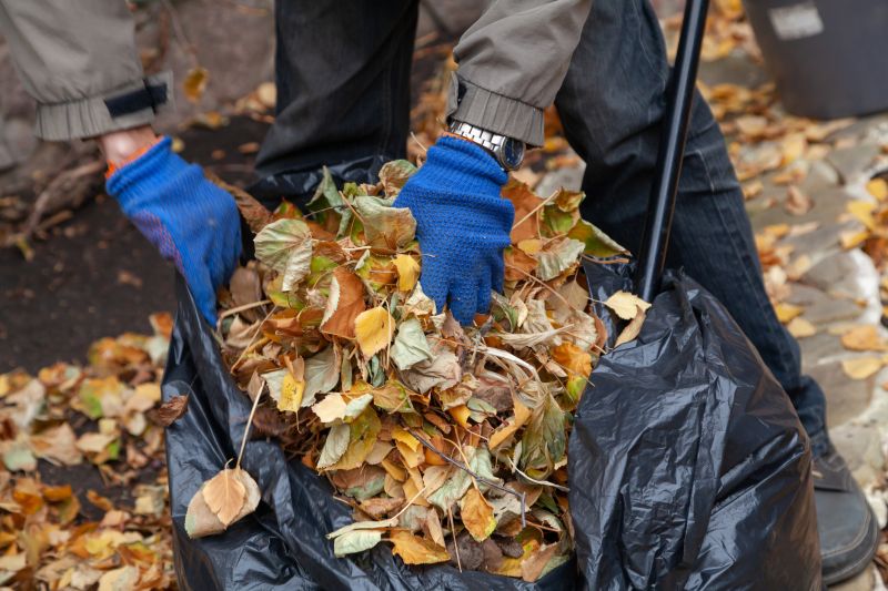 Mulching Leaves