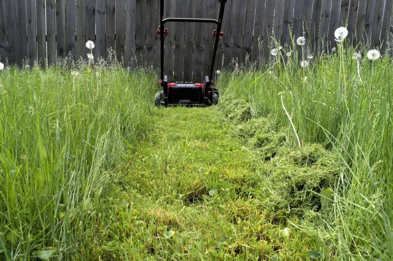 Lawn Cutting Service detail