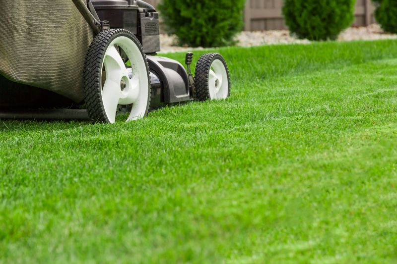 Healthy Lawn Mowing