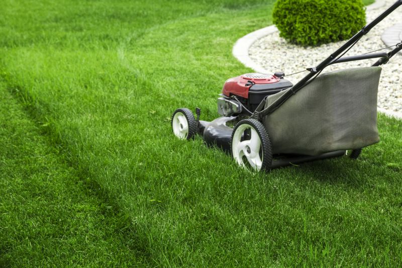 Seasonal Lawn Maintenance