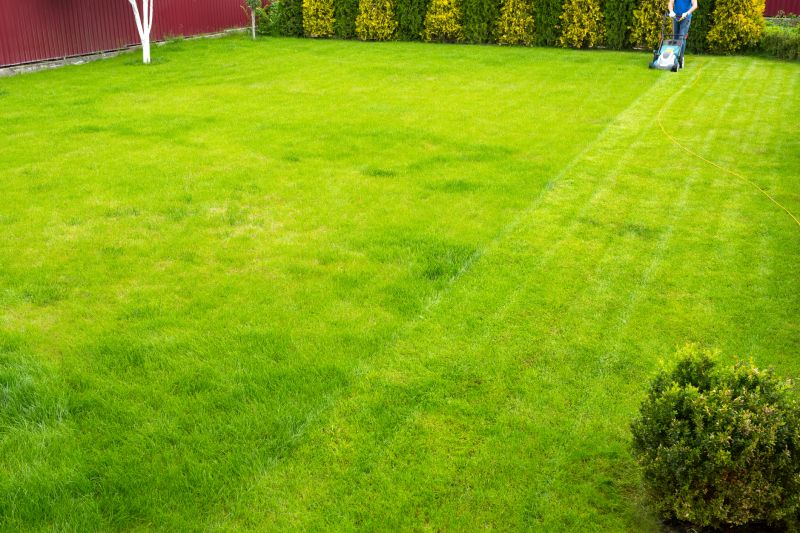 Mowing for Lawn Health