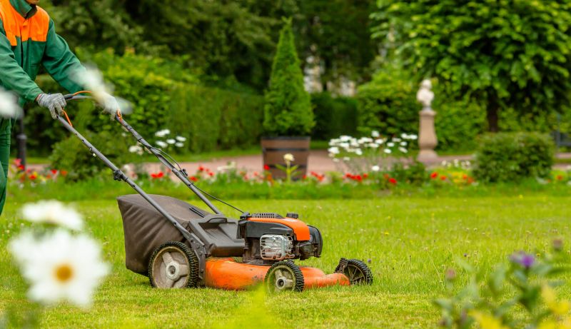 Winter Lawn Maintenance