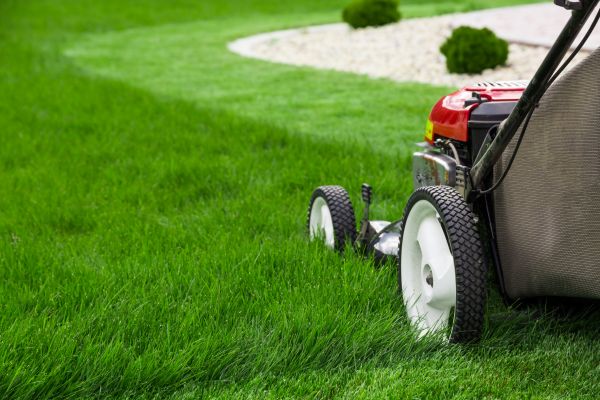 Yard Mowing in High Point
